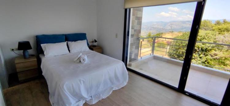 Oktonia Apartments-Evia Okhthonia Екстериор снимка